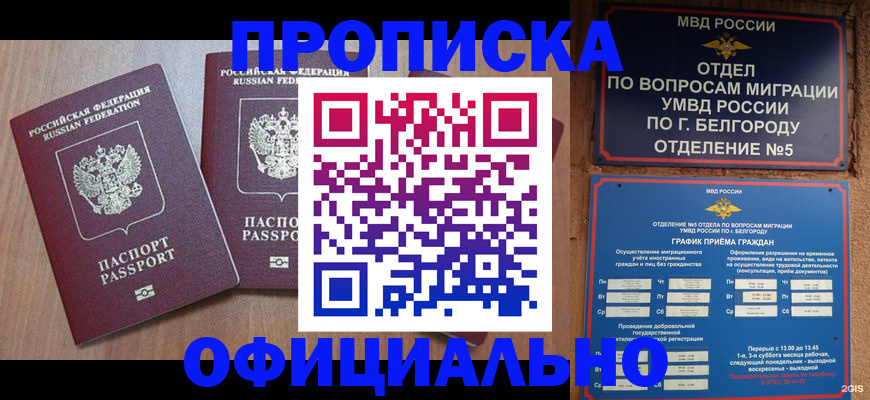 найти адрес прописки в Котово